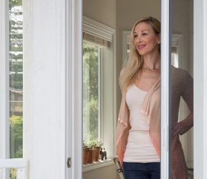 Genius Retractable Screens