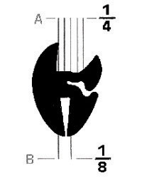 One Piece Self Sealing Rubber Locking Weatherstrip Gasket 50′ – Metal to Glass GLR008